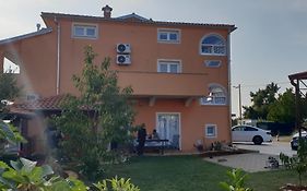 Apartmani Citrus Novigrad