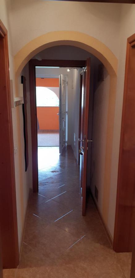 Apartmani Citrus Novigrad Filipac Exterior foto