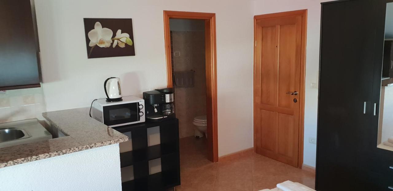 Apartmani Citrus Novigrad Filipac Exterior foto