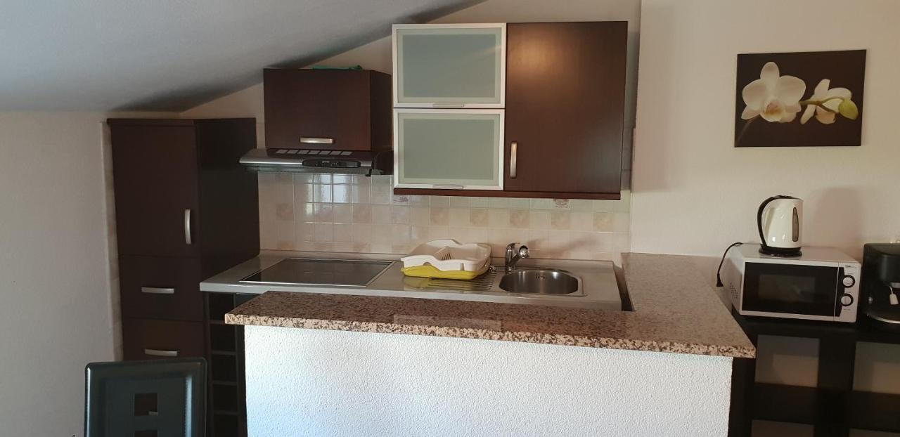 Apartmani Citrus Novigrad Filipac Exterior foto